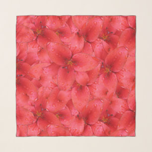 Floral Red Garden Lily with Raindrops Scarf