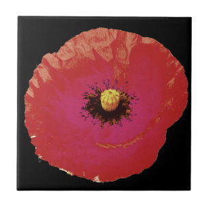 Floral Red Poppy Flower Black Colorful Modern Ceramic Tile