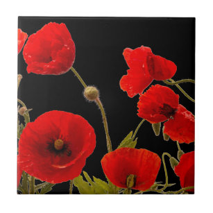 Floral Red Poppy Flowers Black Background Colorful Ceramic Tile