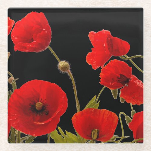 Floral Red Poppy Flowers Black Background Colorful Glass Coaster