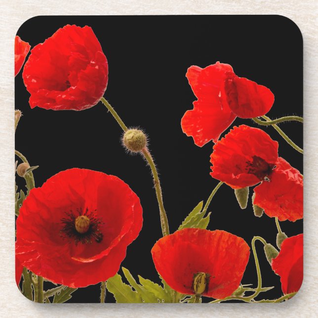 Floral Red Poppy Flowers Black Background Spring Beverage Coaster (Front)