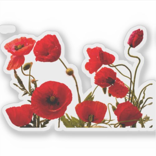 Floral Red Poppy Flowers Colorful Watercolor Art Sticker