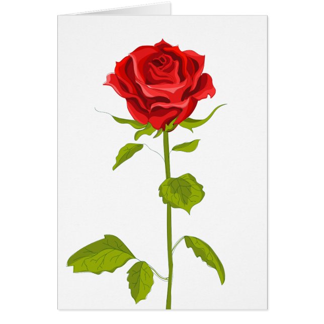 Floral Red Rose Flower Roses Wedding  Love Hello (Front)