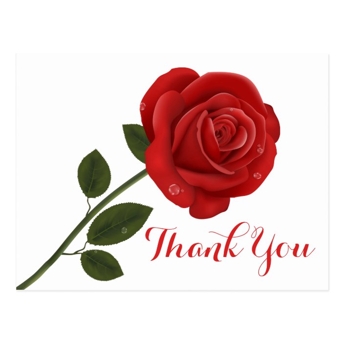 Floral Red Thank You Rose Flower - Wedding Love Postcard | Zazzle.com