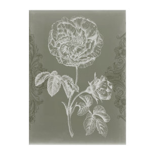 Floral Relief I Acrylic Print