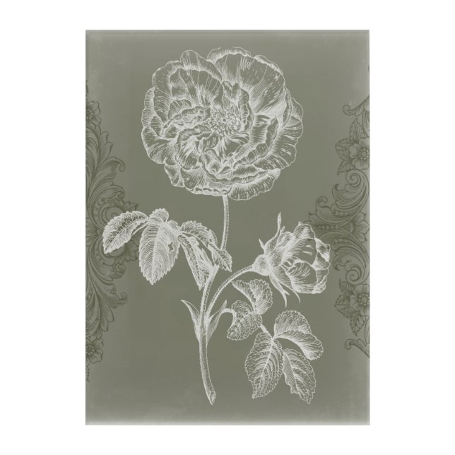 Floral Relief I Acrylic Print (Front)