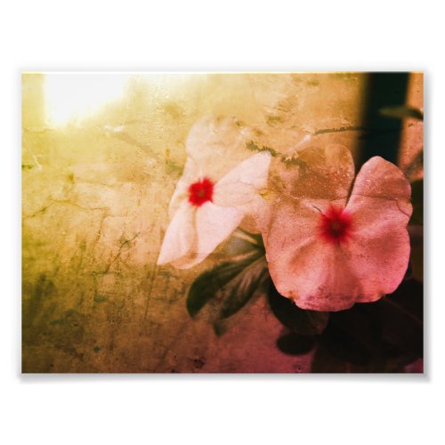 Floral Retro Image  Kodak Professional Photo