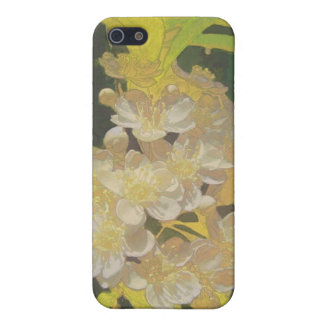 Floral Rhapsody In Gold and White iPhone SE/5/5s Case