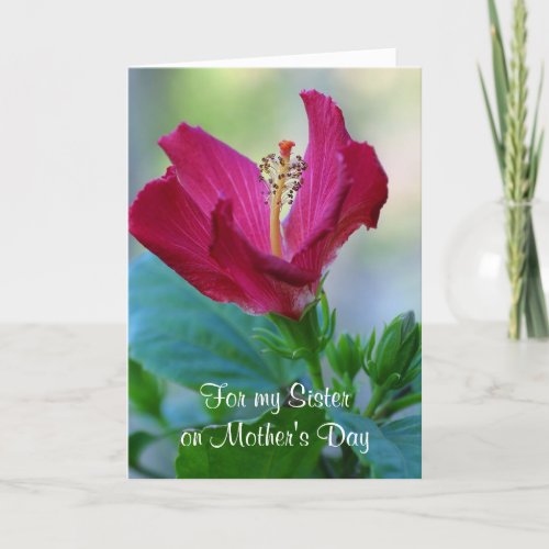 Floral Sister Mothers Day Card