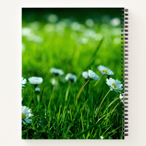 Floral Spiral Photo Notebook  Journal