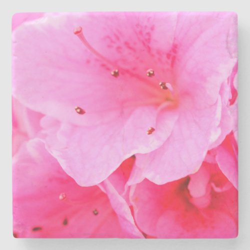 floral  stone coaster