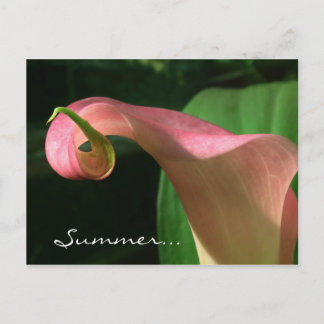 Floral Summer Solstice Party Invitation Postcard
