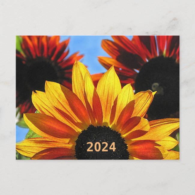 Floral Sunflowers 2024 Calendar on Back Postcard