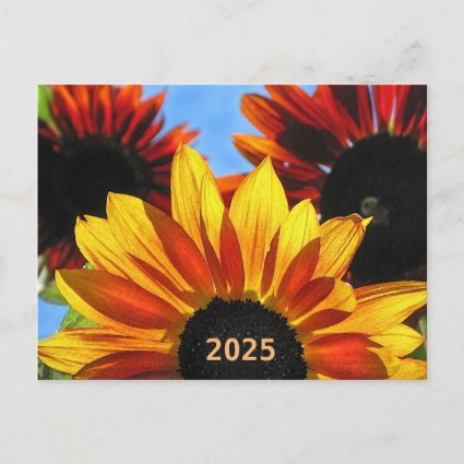 Floral Sunflowers 2025 Calendar on Back Postcard