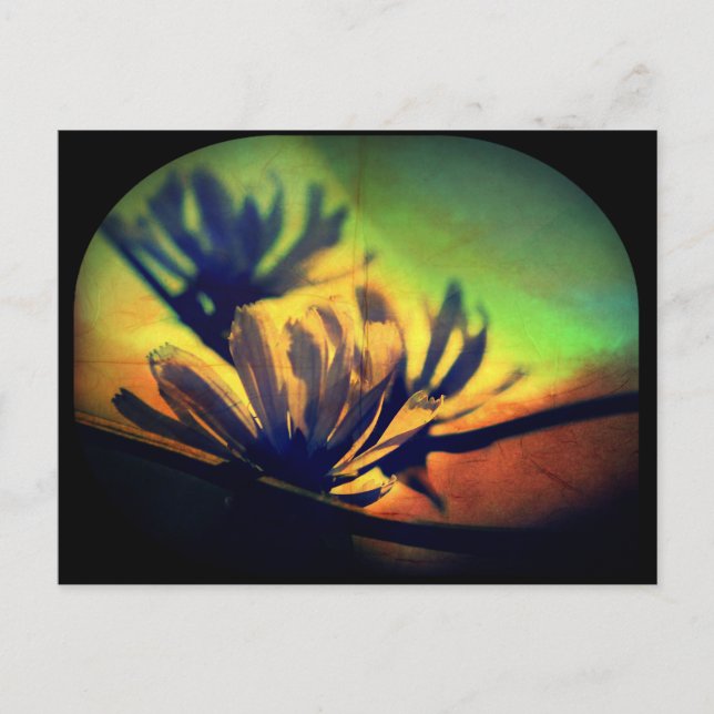 Floral Sunset View Postcard (Front)