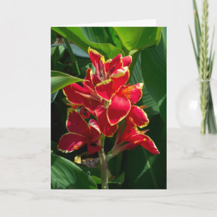 Floral Sympathy Card