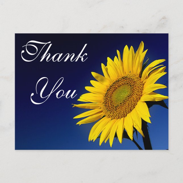 Floral Thank You Flower -Yellow Sunflower Postcard (Front)
