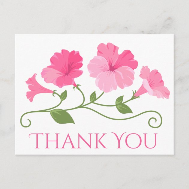 Floral Thank You Flowers Pink Fuchsia & White Postcard | Zazzle