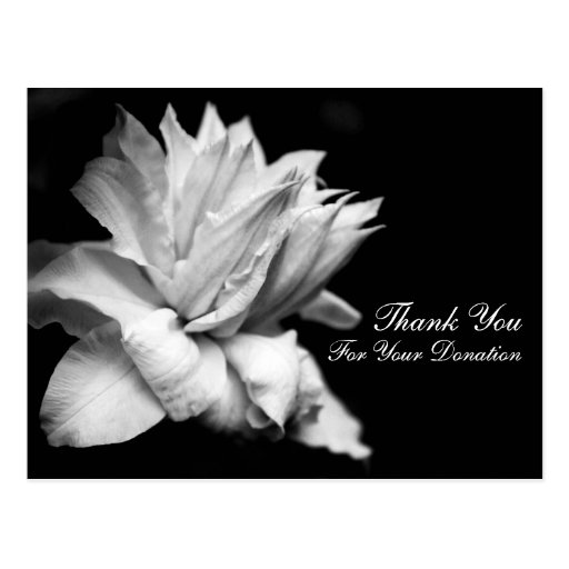 Floral Thank You for Your Donation Customizable Postcard | Zazzle