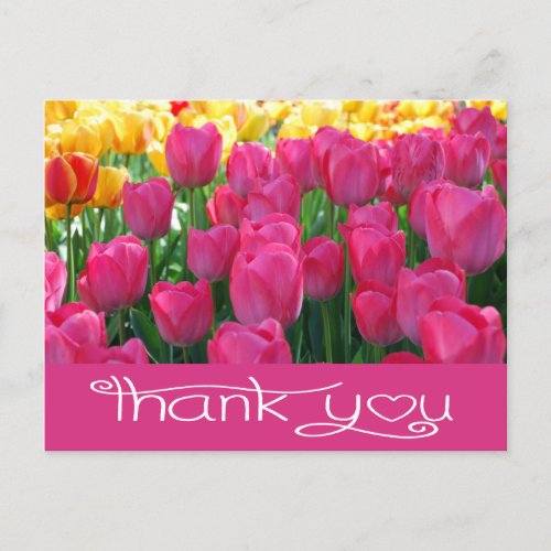 Floral Thank You Pink And Yellow Tulips Flower Postcard