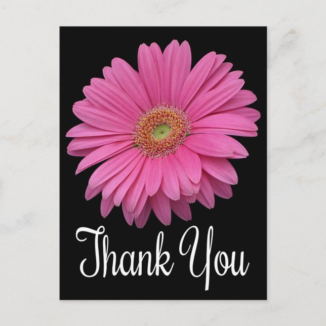 Floral Thank You Pink Gerbera Daisy Flower Black Postcard (Front)