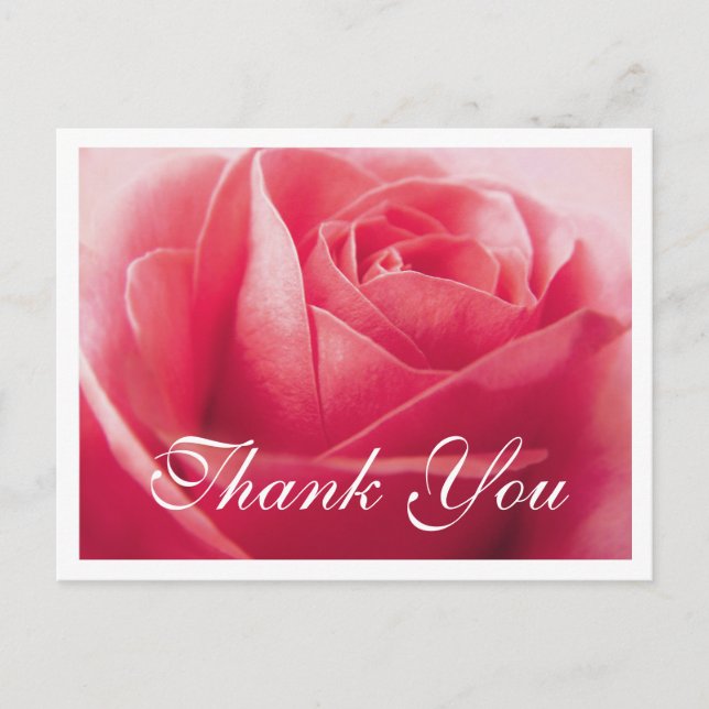 Floral Thank You Pink Rose Flower Postcard (Front)