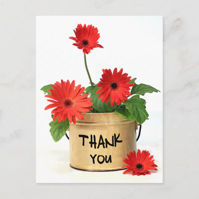 Floral Thank You Red Gerbera Daisy Flowers Postcard | Zazzle