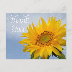 Floral Thank You Sunflower Yellow Flower Blue Sky Postcard