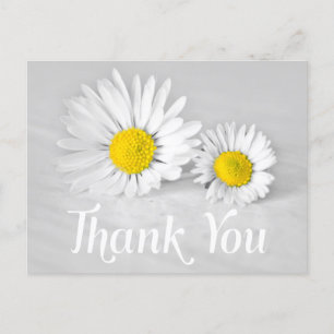 Floral Thank You White Daisies White Flowers Gray Postcard
