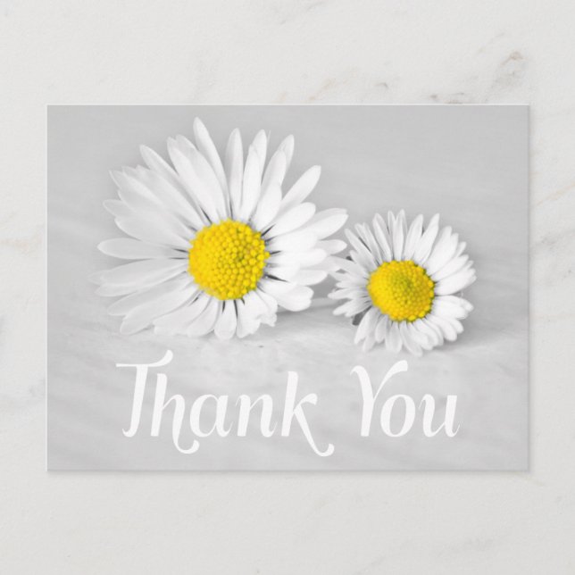Floral Thank You White Daisies White Flowers Gray Postcard (Front)