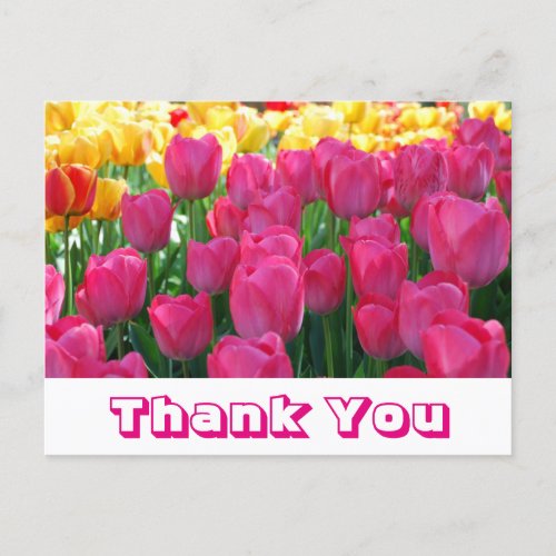 Floral Thank You Yellow  Pink Tulip Flowers Postcard