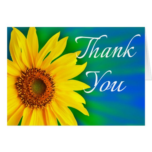 Floral Thank You Yellow Sunflower Flower Blue Card | Zazzle