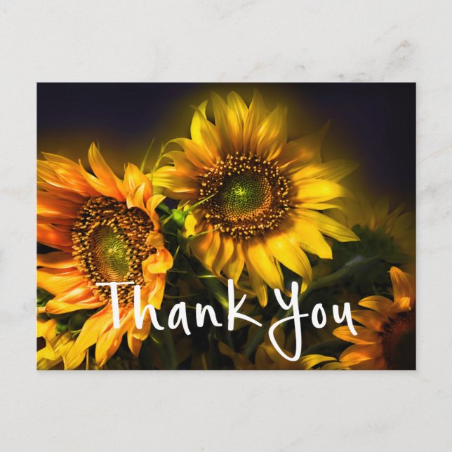 Floral Thank You Yellow Sunflowers Flower Black Postcard (Front)