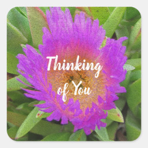 Floral Thinking of You Pretty Purple Beach Flower Square Sticker