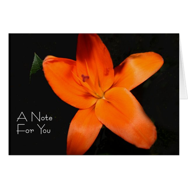 Floral Tiger Lily “A note for you” Cards (Front Horizontal)
