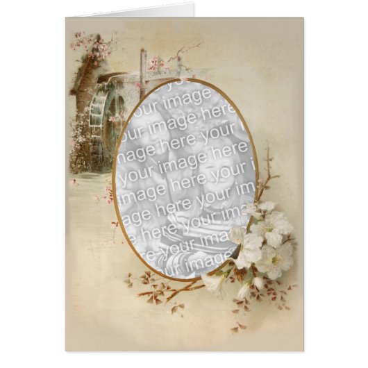 Floral Touch 13 (Front)