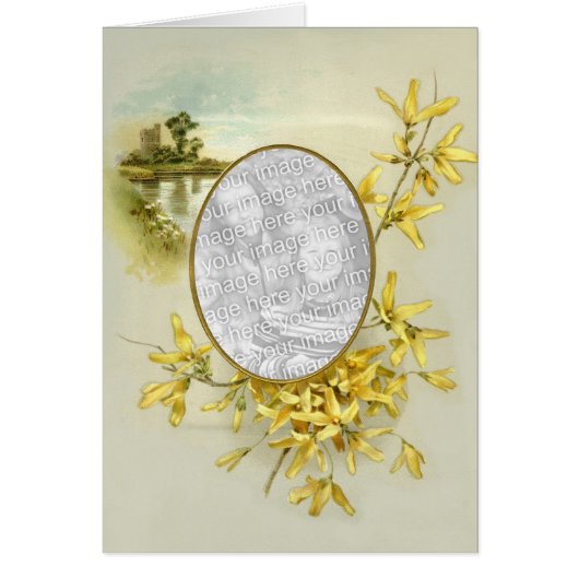 Floral Touch 5 Cards (Front)