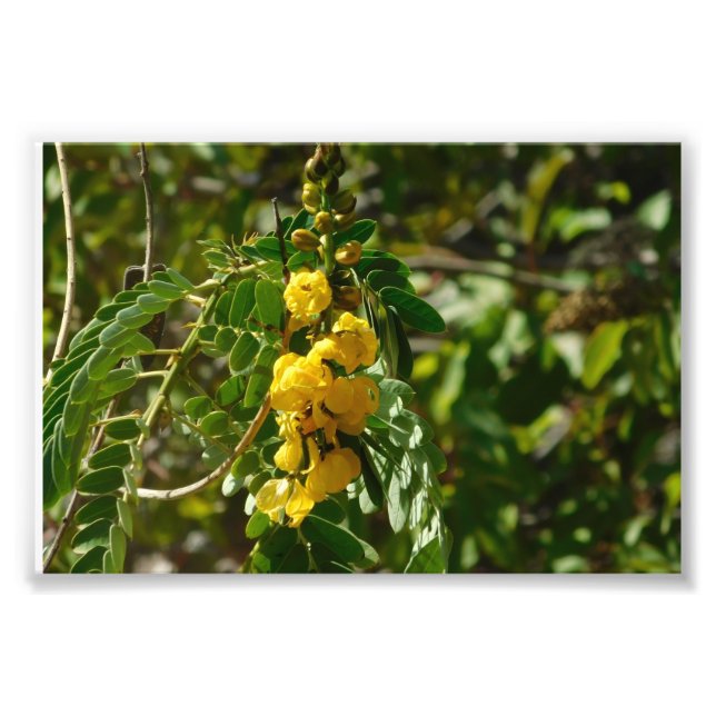 Floral Treasures Photo Print (Front)
