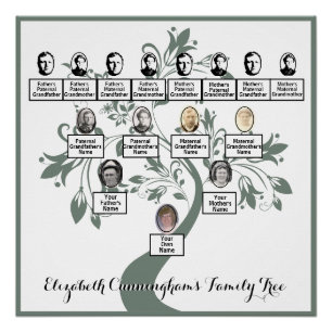 Floral Tree Green Silhouette Family Tree Photos  Poster
