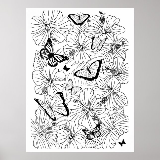 Floral Tropical Hibiscus and Butterflies Coloring Poster (Front)