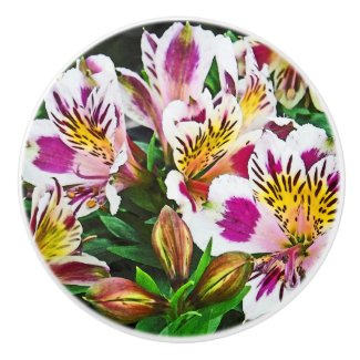 Floral/Tropical/ white, magenta and yellow. 