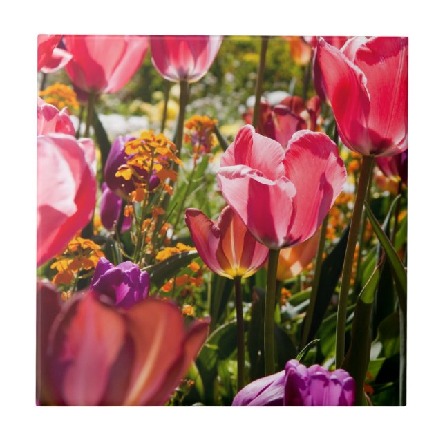Floral tulips ceramic tile (Front)