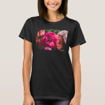 Floral Vibrant Pink Rose Flower Photography