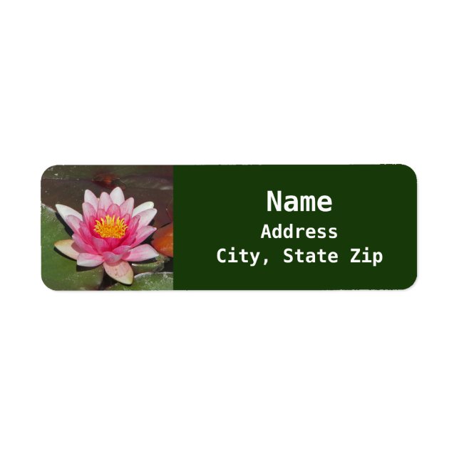 Floral Water Lily Photo Beautiful Pink Flower Label (Front)