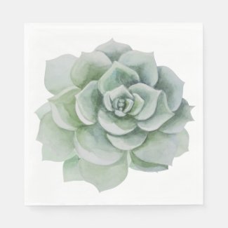 Floral Watercolor Mint Green Succulent Cactus Napkins
