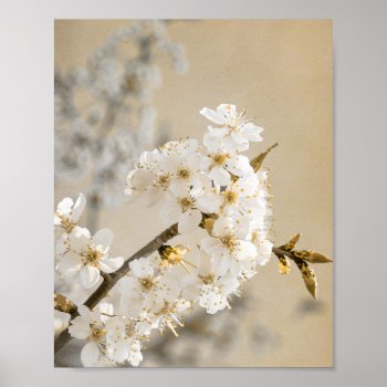 Floral Whispers Tapestry Unfolds Cherry Blossoms Poster by nikkilynndesign at Zazzle