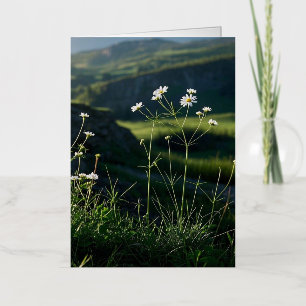 Floral White Daisy Nature Landscape Foil Greeting Card