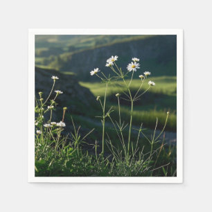 Floral White Daisy Nature Landscape Napkins