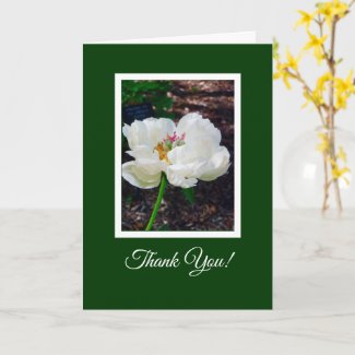 Floral/ White Peony/ Thank You