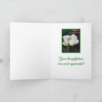 Floral/ White Peony/ Thank You